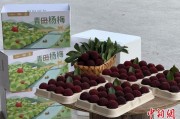 梦见经血高速赋能产业升级：一条“杨梅路”的致富密码