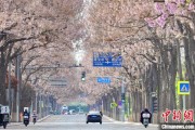 梦见经血共建“花园城市” 北京这场议政会“百花齐放”